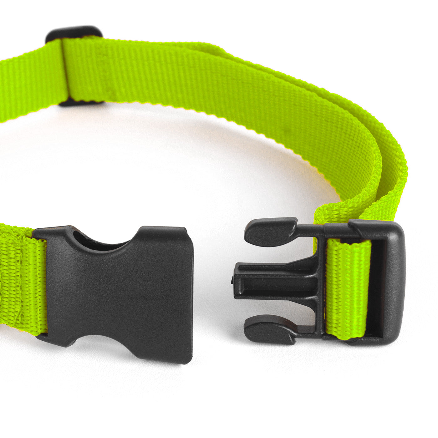 Basic Nylon Dog Collar - Green