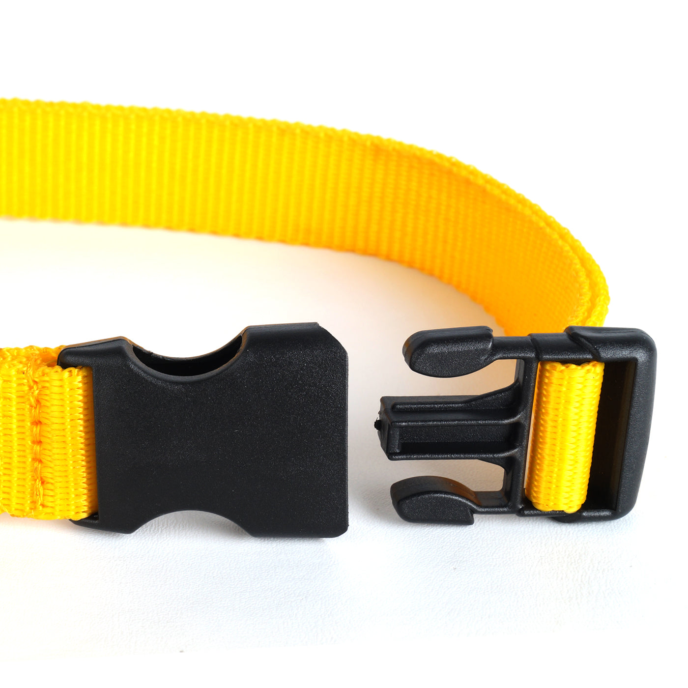 Basic Nylon Dog Collar - Yellow