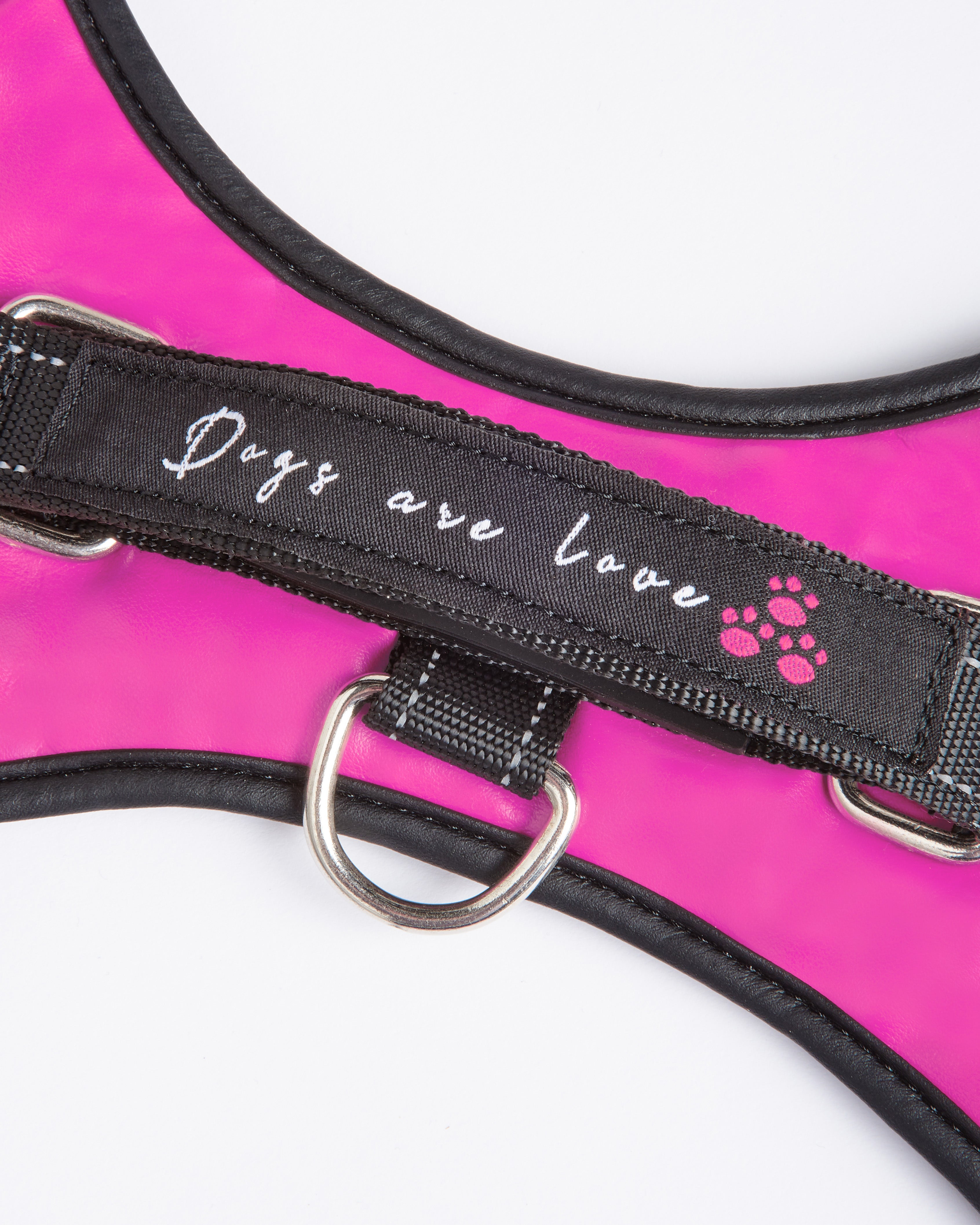 Medium leather dog outlet harness