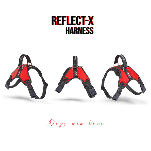Reflect-X Dog Harness | Anti Pull Small Medium Dogs Harness with Padded Handle | Red
