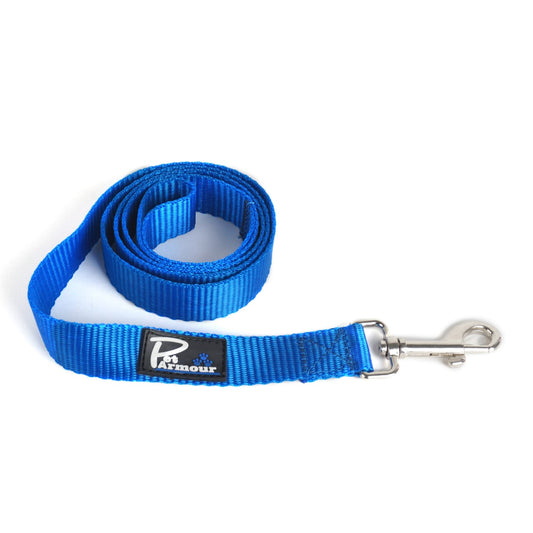 Bold Blue Nylon Dog Lead