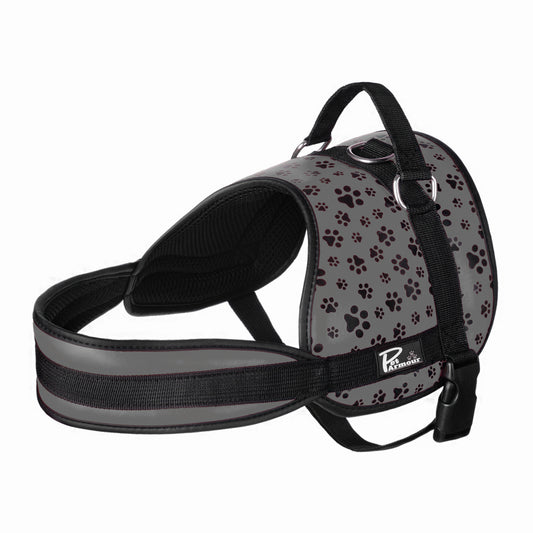 Grey Paws Leather Dog Harness