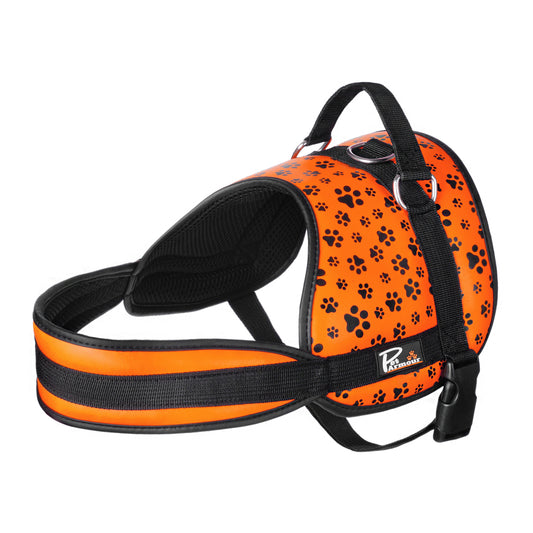 Orange Paws Leather Dog Harness